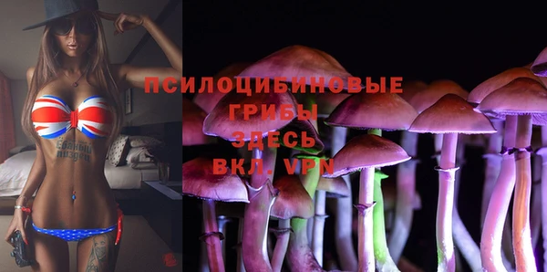 стаф Беломорск