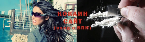 стаф Богданович