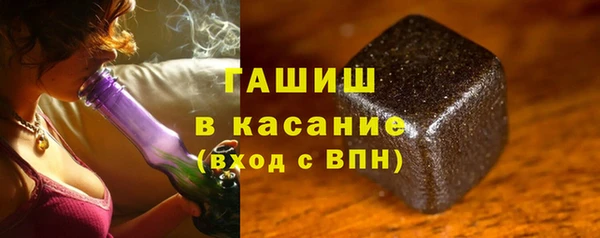 стаф Богданович