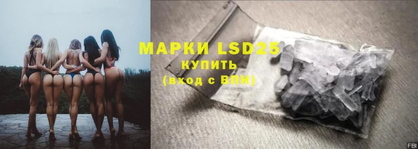 стаф Богданович
