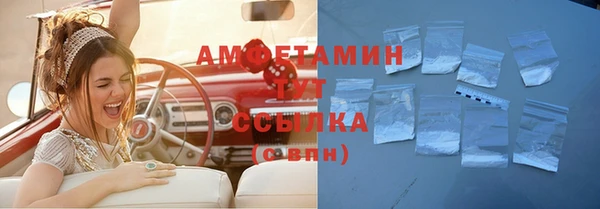 стаф Богданович