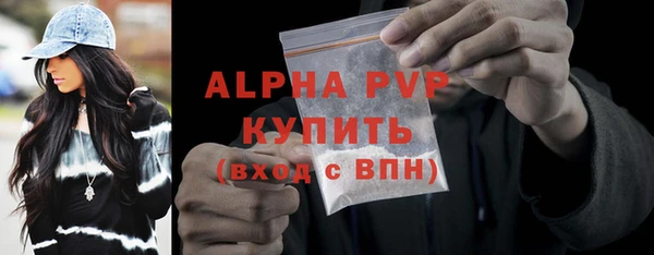 стаф Богданович