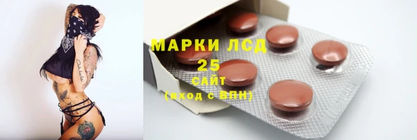 стаф Богданович