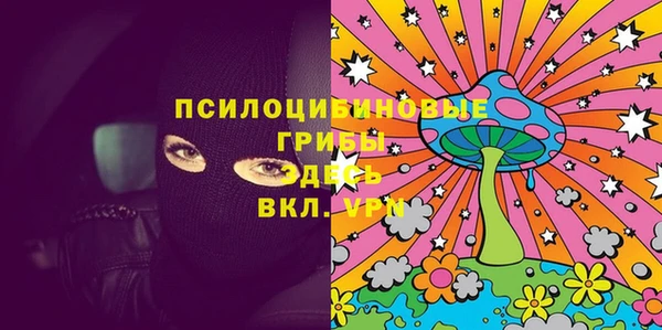 стаф Богданович