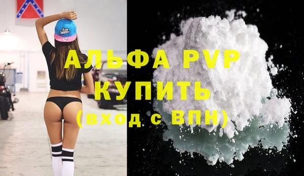 стаф Богданович
