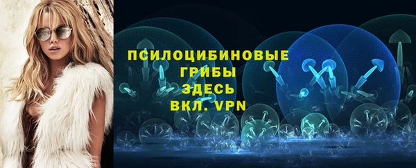 таблы Богородицк