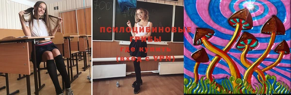стаф Богданович